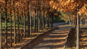 Фотография к новости: Сәрсенбіге арналған ауа райы болжамы