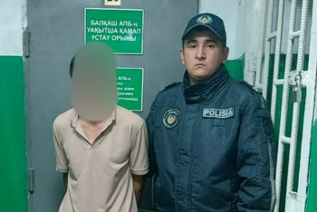 Алматы облысында өгей әке үш жасар егіз қыздарды зорлап келген