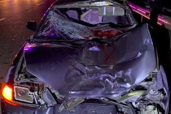 Фотография к новости: Жетісу облысында жаяу жүргіншіні көлік қағып кетті