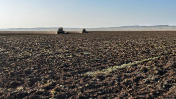 Фотография к новости: Қарағандыда жайылым тапшылығы мәселесі шешіліп жатыр