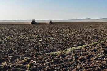 Фотография к новости: Қарағандыда жайылым тапшылығы мәселесі шешіліп жатыр