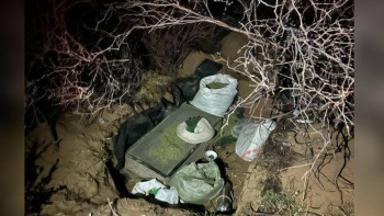 Фотография к новости: Жамбыл облысының тұрғынынан марихуана мен гашиш тәркіленді