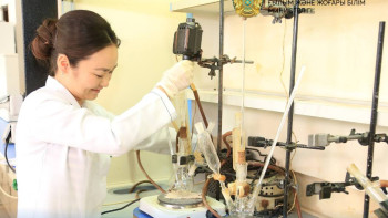 Фотография к новости: Жас ғалым көкөністің өнімділігін арттыратын препарат ойлап тапты