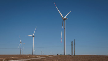 Фотография к новости: Жаңартылатын энергия көздері: Жамбыл облысында заманауи жел қондырғылары орнатылады