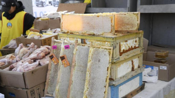 Фотография к новости: Елордадағы жәрмеңкеге Павлодар мен Абай облыстарынан 700 тоннадан астам өнім жеткізілді