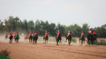 Фотография к новости: Алматыда бәйгеден Қазақстан чемпионаты өтті