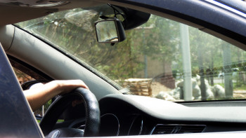 Фотография к новости: Елімізде тағы бірнеше жол ақылы болады