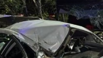 Фотография к новости: Алматы облысында жол-көлік оқиғасынан 5 адам көз жұмды