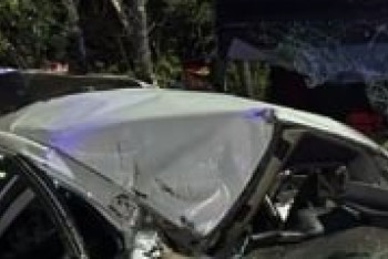 Фотография к новости: Алматы облысында жол-көлік оқиғасынан 5 адам көз жұмды