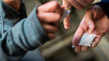 Фотография к новости: Баланың "есірткі жасырушы" болып жұмыс істейтінін қалай білуге болады