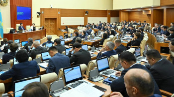 Фотография к новости: Түк білмегендей қызметіңізге отырдыңыз: Дүйсеноваға шүйліккен депутат Қошановтан сөз естіді