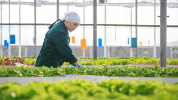 Фотография к новости: Жетісуда 103 мыңдай адам шағын, орта бизнесте еңбек етеді