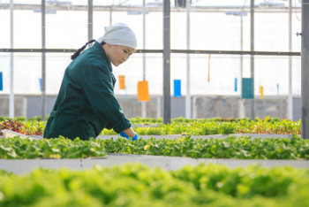 Фотография к новости: Жетісуда 103 мыңдай адам шағын, орта бизнесте еңбек етеді