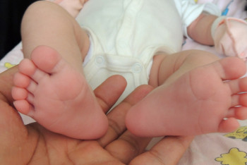 Фотография к новости: Қызылорда облысында үшем дүниеге келді