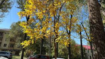 Фотография к новости: Алматыда күзде қайда серуендеуге болады?