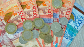 Фотография к новости: Сенаторлар Ұлттық қордан балаларға қаражат беруге қатысты заңды Мәжіліске қайтарды