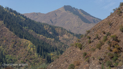 Алматылықтарға тауға шықпауға кеңес берілді