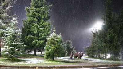 Медеуде қар жауды