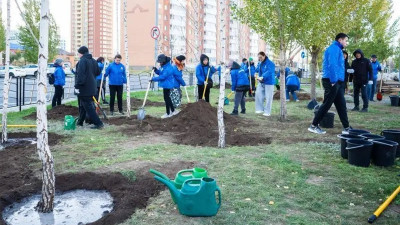 Елордада 5000-ға жуық жасыл желек отырғызылады