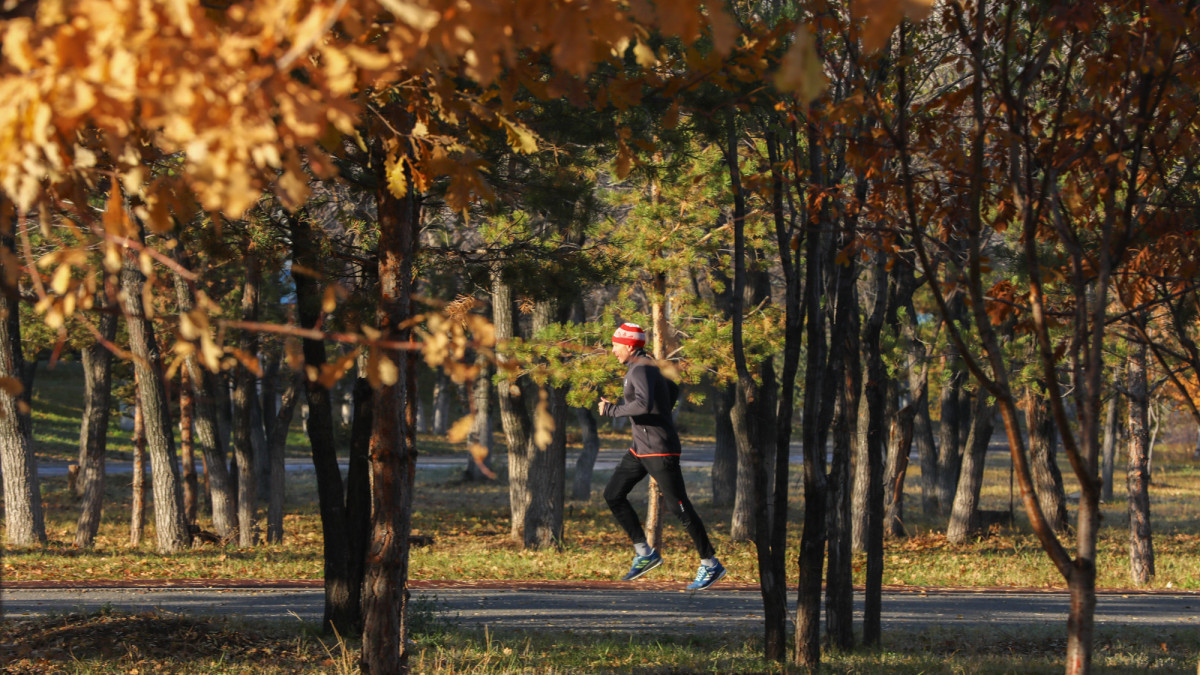 Алматыда «Almaty Сity Games 2023» жалпықалалық спорттық ойындары өтеді