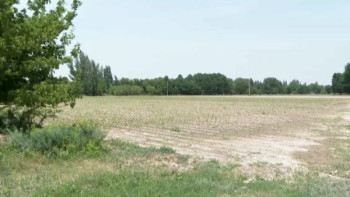 Фотография к новости: Жамбыл облысында шаруаларға екі мың гектар жер қайтарылды