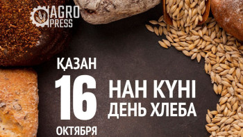 Фотография к новости: Бүгін - нан күні