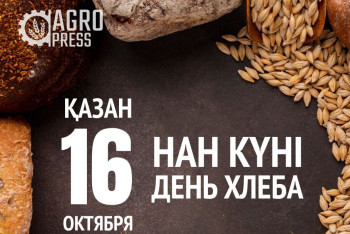 Фотография к новости: Бүгін - нан күні