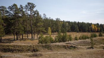 Фотография к новости: Еліміздің ормандарына 2 млрд көшет егіледі
