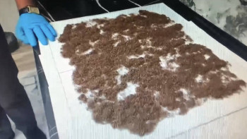 Фотография к новости: Шымкент полицейлері есірткі зертханасын жойды