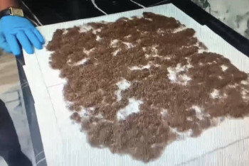 Фотография к новости: Шымкент полицейлері есірткі зертханасын жойды