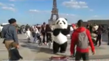 Фотография к новости: Елімізде 7 туроператор лицензиясынан айырылды