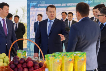 Фотография к новости: Смайылов Түркістанның ең ірі бақтарының біріне барды