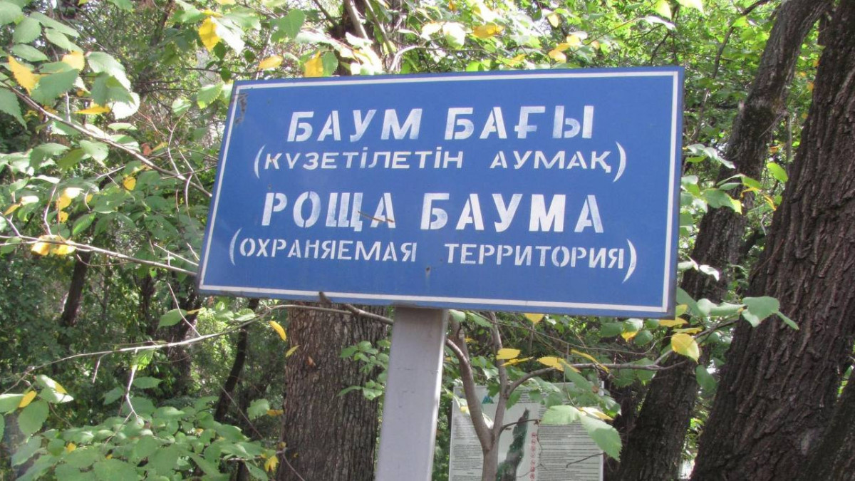  Евгения Головинская