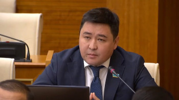 Фотография к новости: Құлағы бар билік құлақсыз туған бөбектің жанайқайын естімейді: Депутат мәселе көтерді