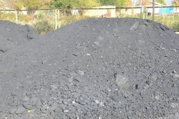 Фотография к новости: Жетісайда мектептің жылыту маусымына дайындығы тексерілді