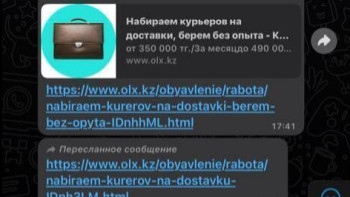 Фотография к новости: Есірткі сатушыларды жалдау туралы үш мың "жасырын" хабарландыру өшірілді