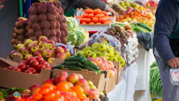 Фотография к новости: Елордада ауыл шаруашылығы жәрмеңкелері өтетін орын өзгереді