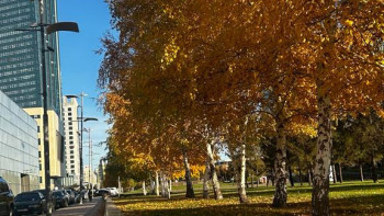 Фотография к новости: Алты өңірде қолайсыз ауа райына байланысты ескерту жасалды