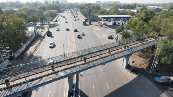 Фотография к новости: Досаев Райымбек даңғылындағы жаяу жүргіншілер көпірін жөндеу барысымен танысты