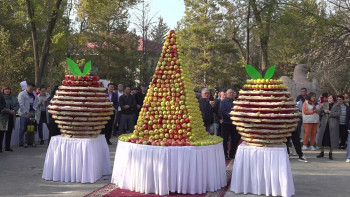 Фотография к новости: Алматылықтар алма күнін атап өтті