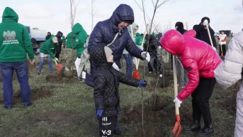 Фотография к новости: Қарасу өзенінің бойына 40 мың ағаш отырғызылды