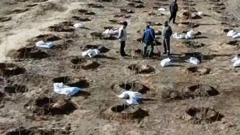 Фотография к новости: Атырауда бір күнде жол жиегіне 1 мың көшет егілді