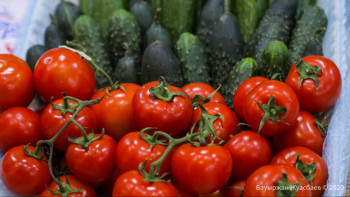 Фотография к новости: Ер адамның денсаулығына қажет 5 басты азық-түлік анықталды