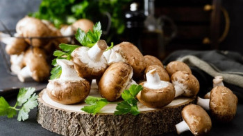 Фотография к новости: Қазақтарға неге саңырауқұлақ жеуге болмайды