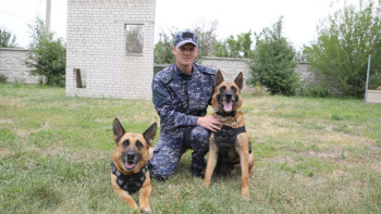 Фотография к новости: Қырағы полицей иттер 6 тоннадан астам есірткіні анықтады