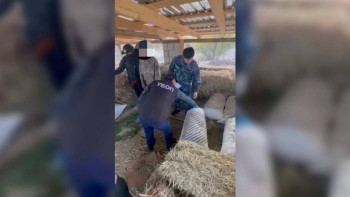 Фотография к новости: Еліміздің басқа облыстарына есірткі тасымалдаумен айналысқан қылмыстық топты ұстады