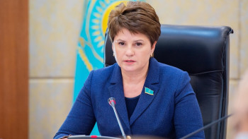 Фотография к новости: Сенатор Салық кодексінің проблемалы бөлігін жаңартуды ұсынды