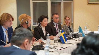 Қазақстан швециямен денсаулық сақтау саласындағы әріптестікті дамытуға ниетті