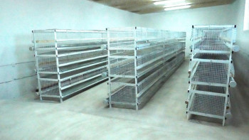 Фотография к новости: Түркістан: Кентауда құс цехы іске қосылды