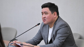 Фотография к новости: «АрселорМиттал Теміртау» акционерлері мен басшылығы қатаң түрде жазасын алуы керек - депутат